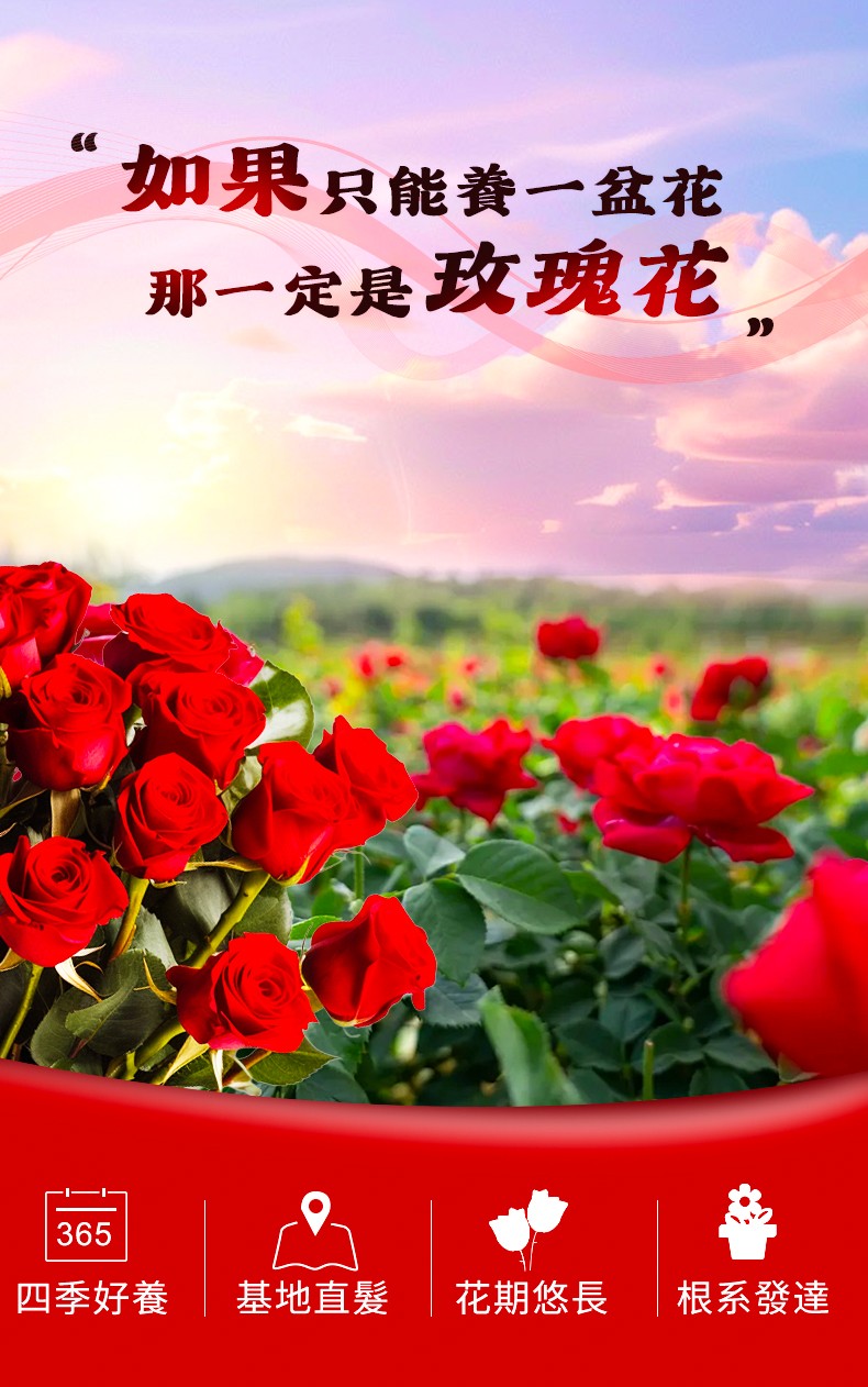 1742378307674710.jpg 1.jpg