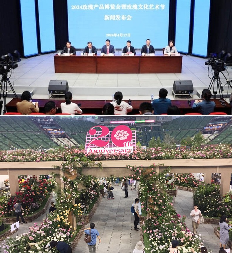 1742379512204197.jpg 2.jpg