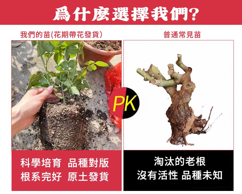 1742452173306850.jpg 4.jpg