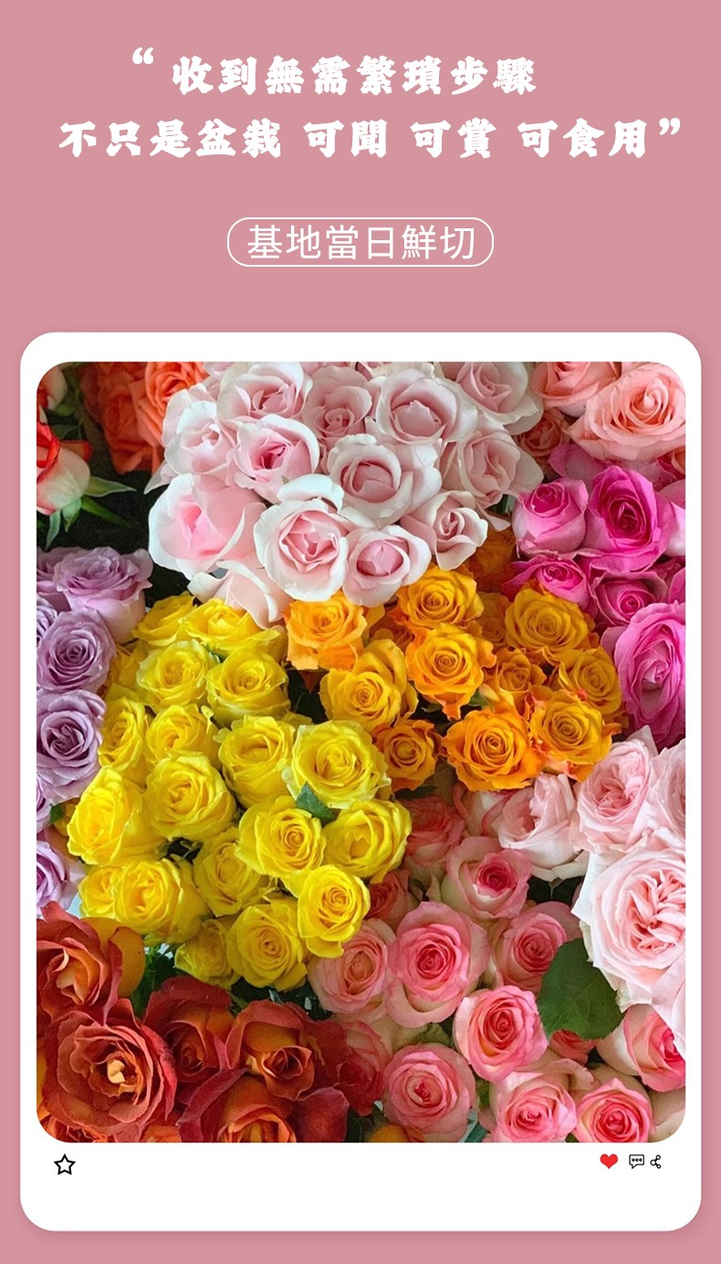 1742456257277724.jpg 7.jpg