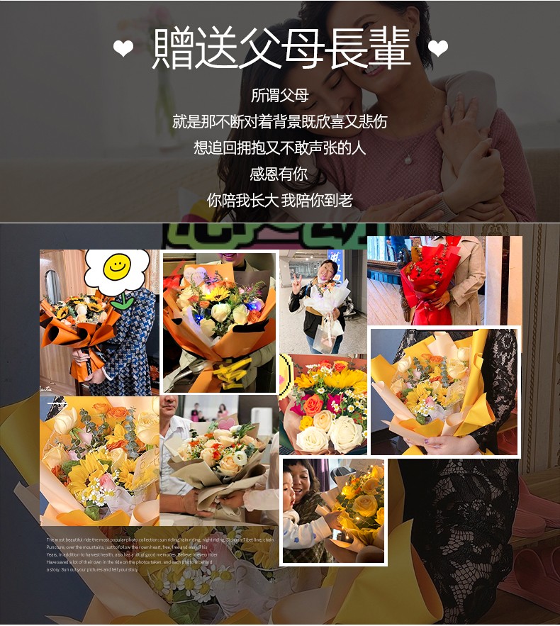 紫罗兰-790px_07.jpg