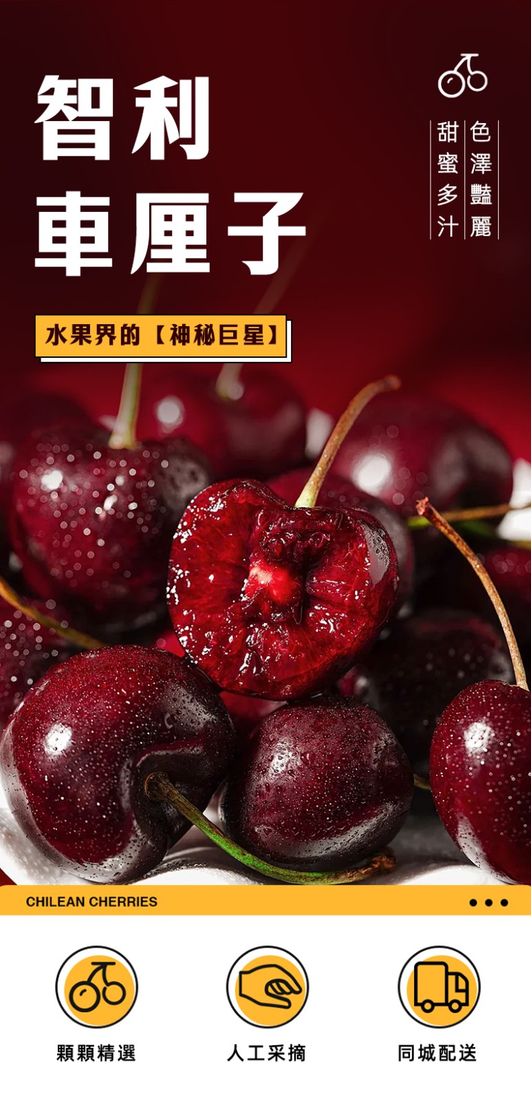 车厘子790px_02.jpg