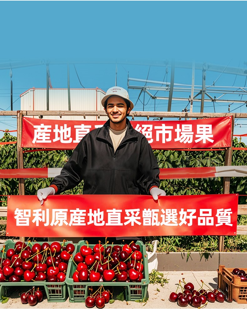 车厘子790px_03.jpg