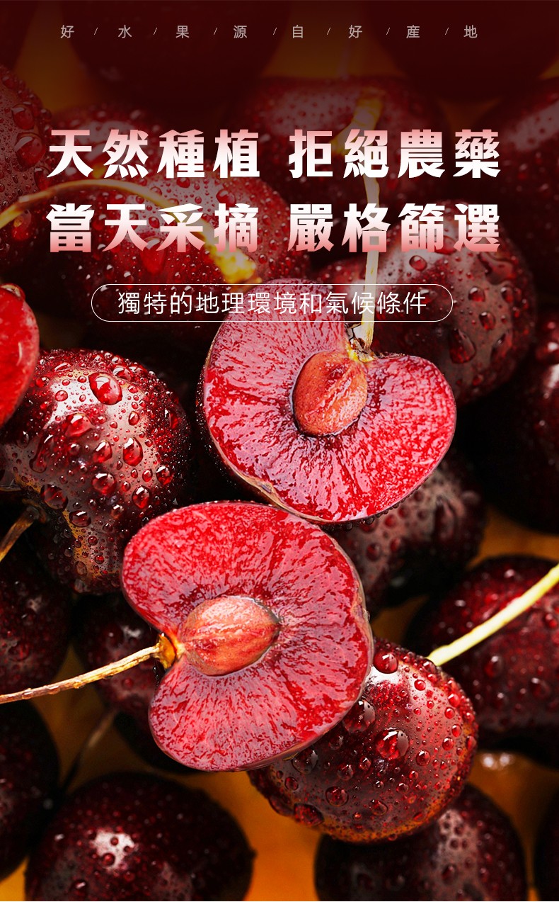 车厘子790px_04.jpg