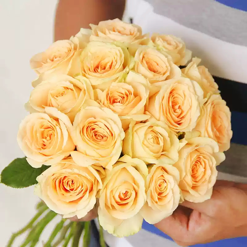 玫瑰花鮮花台灣基地直髮家用插花卉盆栽鮮切花多头荔枝玫瑰四季開花濃香老樁綠植物