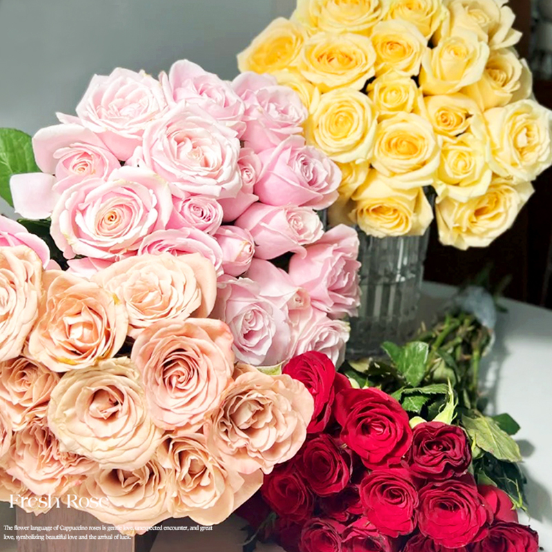 玫瑰花鮮花台灣基地直髮家用插花卉盆栽鮮切花多头荔枝玫瑰四季開花濃香老樁綠植物