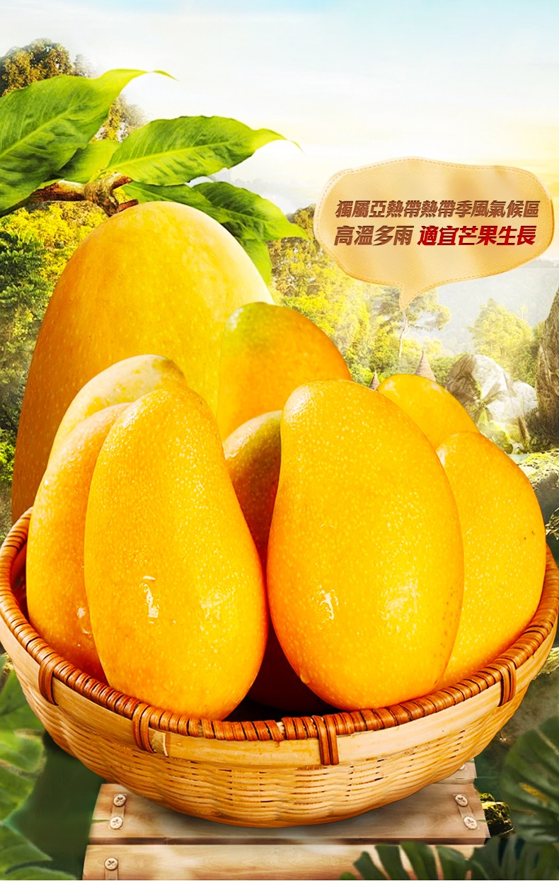 790px_03.jpg