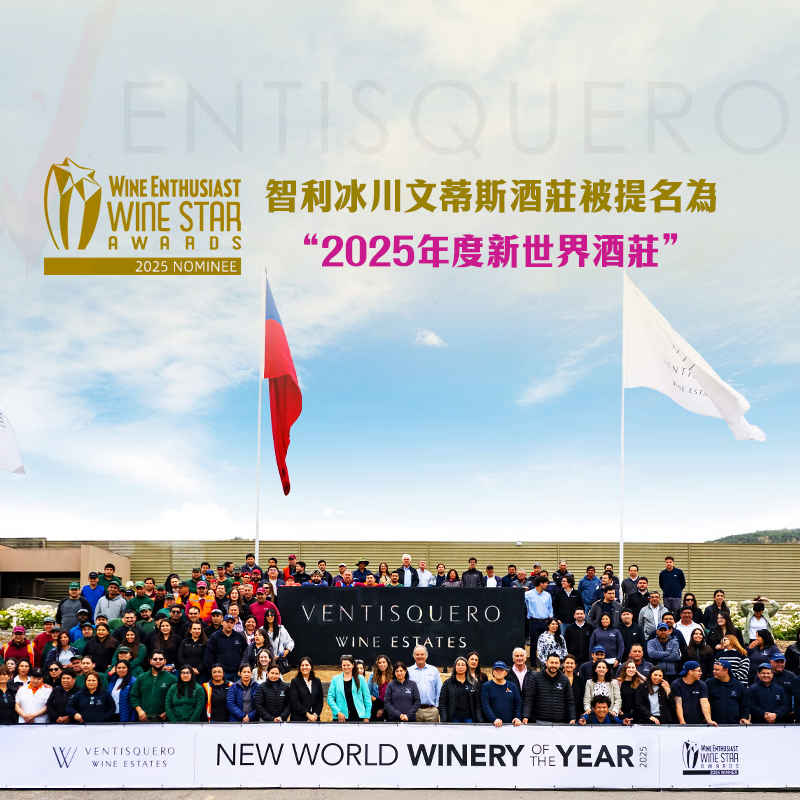 冰川文蒂斯酒莊智利原瓶進口幹白葡萄酒750ml 探索者珍藏霞多麗台灣同城配送