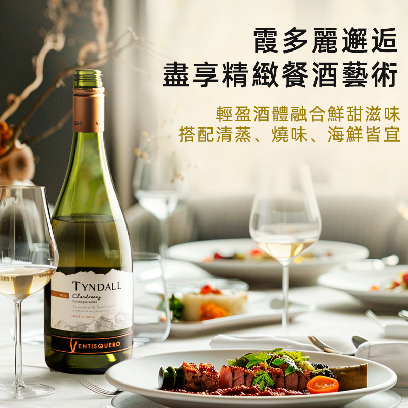 冰川文蒂斯酒莊智利原瓶進口幹白葡萄酒750ml 探索者珍藏霞多麗台灣同城配送